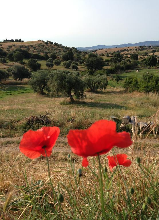 Agriturismo Prati Degli Orti มอนเตียโน ภายนอก รูปภาพ